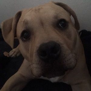 Meet your Posher, Andre